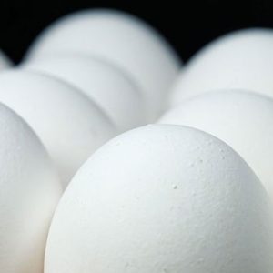 EGGS